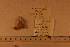  ( - 06_691_F)  @11 [ ] CreativeCommons - Attribution Non-Commercial Share-Alike (2012) CreativeCommons - Attribution Non-Commercial Share-Alike MNHN