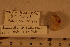  ( - 06_764_4)  @11 [ ] CreativeCommons - Attribution Non-Commercial Share-Alike (2012) MNHN Museum national d'Histoire naturelle, Paris