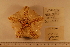  ( - 06_768)  @11 [ ] CreativeCommons - Attribution Non-Commercial Share-Alike (2012) MNHN Museum national d'Histoire naturelle, Paris