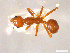  ( - CCO-TH 146 F3 1S)  @13 [ ] CreativeCommons - Attribution Non-Commercial Share-Alike (2015) P. Heepngoen LMI LUSE