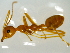  ( - CCO-TH 224 2KR 3S)  @13 [ ] CreativeCommons - Attribution Non-Commercial Share-Alike (2015) P. Heepngoen LMI LUSE