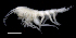  ( - SB_1-9S_Oedi24_2015_4)  @11 [ ] CreativeCommons  Attribution Non-Commercial Share-Alike (2021) Anna Jazdzewska University of Lodz, Dept of Invertebrate Zoology and Hydrobiology