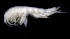  ( - SB_9-7S_Oedi24_2015_3)  @11 [ ] CreativeCommons  Attribution Non-Commercial Share-Alike (2021) Anna Jazdzewska University of Lodz, Dept of Invertebrate Zoology and Hydrobiology