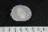  ( - ZMBN_138909)  @11 [ ] Creative Commons BY NC SA (2021) University of Bergen Natural History Collections