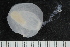  ( - ZMBN_138910)  @11 [ ] Creative Commons BY NC SA (2021) University of Bergen Natural History Collections