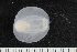  ( - ZMBN_138919)  @11 [ ] Creative Commons BY NC SA (2021) University of Bergen Natural History Collections