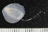  ( - ZMBN_138923)  @11 [ ] Creative Commons BY NC SA (2021) University of Bergen Natural History Collections