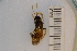  ( - SYMVE000435)  @12 [ ] Unspecified (default): All Rights Reserved  Unspecified Unspecified