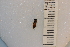  ( - SYMVE000298)  @12 [ ] Unspecified (default): All Rights Reserved  Unspecified Unspecified