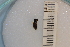  ( - SYMVE000299)  @12 [ ] Unspecified (default): All Rights Reserved  Unspecified Unspecified