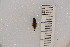  ( - SYMVE000301)  @12 [ ] Unspecified (default): All Rights Reserved  Unspecified Unspecified