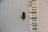  ( - SYMVE000313)  @12 [ ] Unspecified (default): All Rights Reserved  Unspecified Unspecified