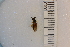 ( - SYMVE000333)  @12 [ ] Unspecified (default): All Rights Reserved  Unspecified Unspecified