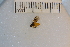  ( - SYMVE000335)  @12 [ ] Unspecified (default): All Rights Reserved  Unspecified Unspecified