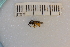  ( - SYMVE000336)  @12 [ ] Unspecified (default): All Rights Reserved  Unspecified Unspecified