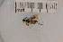  ( - SYMVE000454)  @13 [ ] Unspecified (default): All Rights Reserved  Unspecified Unspecified