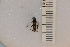  ( - SYMVE000460)  @12 [ ] Unspecified (default): All Rights Reserved  Unspecified Unspecified