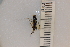  ( - SYMVE000461)  @12 [ ] Unspecified (default): All Rights Reserved  Unspecified Unspecified