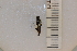  ( - SYMVE000462)  @12 [ ] Unspecified (default): All Rights Reserved  Unspecified Unspecified
