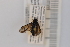  ( - SYMVE000480)  @12 [ ] Unspecified (default): All Rights Reserved  Unspecified Unspecified