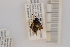  ( - SYMVE000481)  @12 [ ] Unspecified (default): All Rights Reserved  Unspecified Unspecified