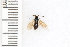  ( - SYMVE000459)  @12 [ ] Unspecified (default): All Rights Reserved  Unspecified Unspecified