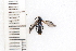 ( - SYMVE000494)  @13 [ ] Unspecified (default): All Rights Reserved  Unspecified Unspecified