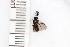  ( - SYMVE000544)  @12 [ ] Unspecified (default): All Rights Reserved  Unspecified Unspecified