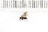  ( - SYMVE000568)  @12 [ ] Unspecified (default): All Rights Reserved  Unspecified Unspecified