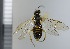  ( - NHMO10069604)  @13 [ ] No Rights Reserved (2013) Unspecified Univeristy of Oslo, Natural History Museum