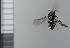 ( - NHMO10069658)  @12 [ ] No Rights Reserved (2013) Unspecified Univeristy of Oslo, Natural History Museum