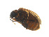  ( - DHS31)  @12 [ ] Unspecified (default): All Rights Reserved  Unspecified Unspecified