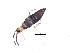  ( - DB50)  @14 [ ] Unspecified (default): All Rights Reserved  Unspecified Unspecified