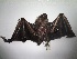  ( - MA 340)  @11 [ ] No Rights Reserved (2017) Unspecified UFES