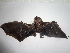  ( - 2743)  @11 [ ] No Rights Reserved (2017) Unspecified UFES