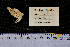  ( - JR15005_3112)  @11 [ ] CreativeCommons - Attribution Non-Commercial No Derivatives (2017) Unspecified Université Libre de Bruxelles (ULB)