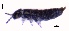  ( - SOS_COLLEMBOLA_115)  @11 [ ] by (2013) Cornelya Klutsch Norwegian Institute of Bioeconomy Research (NIBIO)