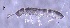  ( - SOS_COLLEMBOLA_468)  @11 [ ] Unspecified (default): All Rights Reserved  Unspecified Unspecified