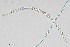  ( - NEMA-40991-G4)  @11 [ ] by-nc (2024) Oleksandr Holovachov Swedish Museum of Natural History