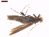  ( - CLV7567)  @11 [ ] CreativeCommons  Attribution Non-Commercial Share-Alike (2019) Carlos Lopez Vaamonde Institut National de la Recherche Agronomique, Zoologie Forestiere