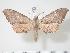  ( - BC-Hax3692.1)  @13 [ ] Copyright (2010) Unspecified Research Collection of Jean Haxaire