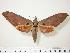  ( - BC-Hax0101)  @15 [ ] Copyright (2010) Unspecified Research Collection of Jean Haxaire