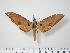  ( - BC-Hax0125)  @15 [ ] Copyright (2010) Unspecified Research Collection of Jean Haxaire
