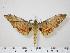  ( - BC-Hax0014)  @15 [ ] Copyright (2010) Unspecified Research Collection of Jean Haxaire