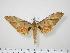  ( - BC-Hax0015)  @14 [ ] Copyright (2010) Unspecified Research Collection of Jean Haxaire