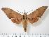 ( - BC-Hax0156)  @12 [ ] Copyright (2010) Unspecified Research Collection of Jean Haxaire