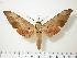  ( - BC-Hax0166)  @12 [ ] Copyright (2010) Unspecified Research Collection of Jean Haxaire