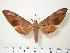  ( - BC-Hax0167)  @12 [ ] Copyright (2010) Unspecified Research Collection of Jean Haxaire