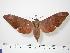  ( - BC-Hax0170)  @14 [ ] Copyright (2010) Unspecified Research Collection of Jean Haxaire