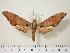  ( - BC-Hax0184)  @13 [ ] Copyright (2010) Unspecified Research Collection of Jean Haxaire